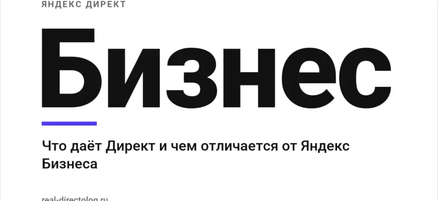 Обложка: Бизнес. Что даёт Директ и чем отличается от Яндекс Бизнеса